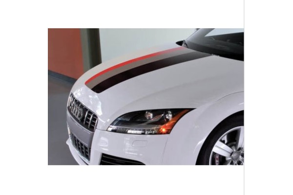 Aufkleber passend für Audi Rally Streifen Aufkleber Performance Power 30cm x 125cm